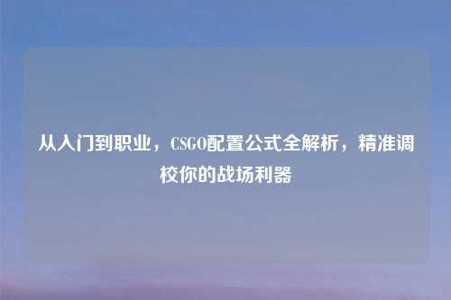 从入门到职业，CSGO配置公式全解析，精准调校你的战场利器