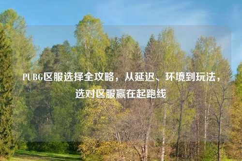 PUBG区服选择全攻略，从延迟、环境到玩法，选对区服赢在起跑线