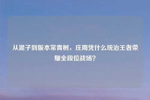 从混子到版本常青树，庄周凭什么统治王者荣耀全段位战场？
