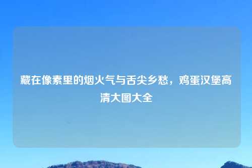 藏在像素里的烟火气与舌尖乡愁，鸡蛋汉堡高清大图大全