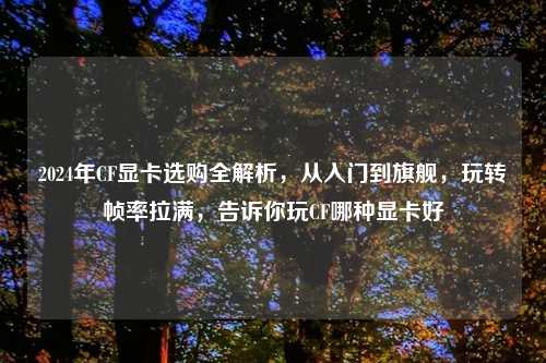 2024年CF显卡选购全解析，从入门到旗舰，玩转帧率拉满，告诉你玩CF哪种显卡好