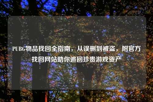 PUBG物品找回全指南，从误删到被盗，附官方找回网站助你追回珍贵游戏资产