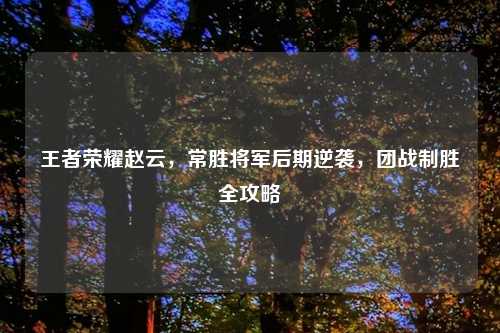 王者荣耀赵云，常胜将军后期逆袭，团战制胜全攻略