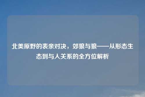 北美原野的表亲对决，郊狼与狼——从形态生态到与人关系的全方位解析