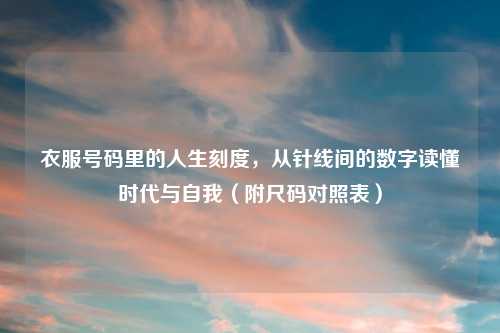 衣服号码里的人生刻度，从针线间的数字读懂时代与自我（附尺码对照表）