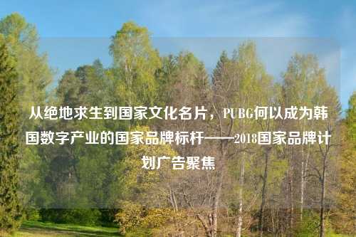 从绝地求生到国家文化名片，PUBG何以成为韩国数字产业的国家品牌标杆——2018国家品牌计划广告聚焦