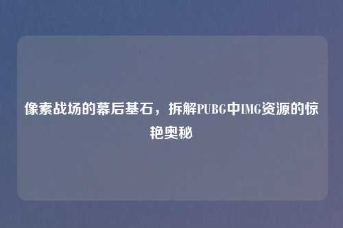 像素战场的幕后基石，拆解PUBG中IMG资源的惊艳奥秘