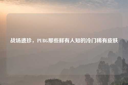 战场遗珍，PUBG那些鲜有人知的冷门稀有皮肤