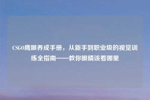 CSGO鹰眼养成手册，从新手到职业级的视觉训练全指南——教你眼睛该看哪里