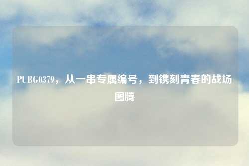 PUBG0379，从一串专属编号，到镌刻青春的战场图腾