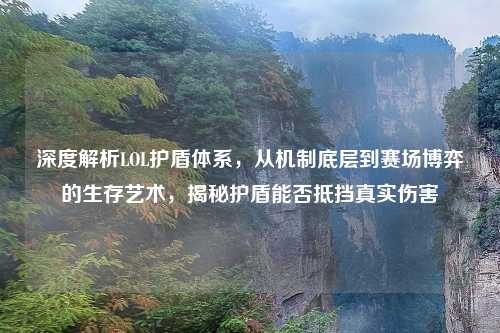 深度解析LOL护盾体系，从机制底层到赛场博弈的生存艺术，揭秘护盾能否抵挡真实伤害