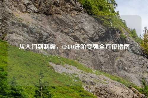 从入门到制霸，CSGO进阶变强全方位指南
