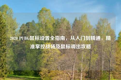 2020 PUBG鼠标设置全指南，从入门到精通，精准掌控战场及鼠标调出攻略