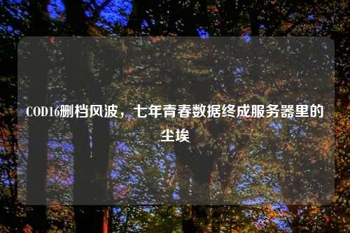COD16删档风波，七年青春数据终成服务器里的尘埃