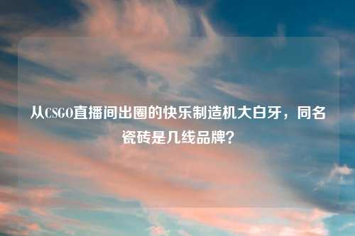 从CSGO直播间出圈的快乐制造机大白牙，同名瓷砖是几线品牌？