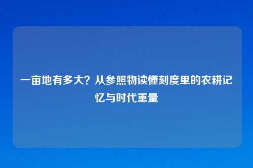 一亩地有多大？从参照物读懂刻度里的农耕记忆与时代重量