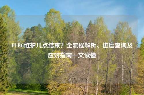 PUBG维护几点结束？全流程解析、进度查询及应对指南一文读懂
