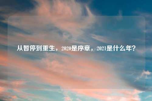 从暂停到重生，2020是序章，2021是什么年？