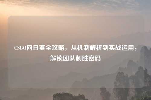 CSGO向日葵全攻略，从机制解析到实战运用，解锁团队制胜密码