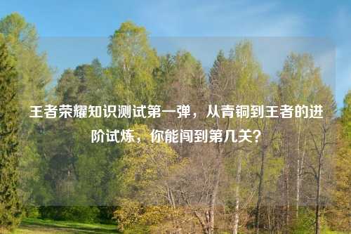 王者荣耀知识测试之一弹，从青铜到王者的进阶试炼，你能闯到第几关？