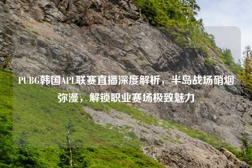 PUBG韩国APL联赛直播深度解析,半岛战场硝烟弥漫,解锁职业赛场极致魅力