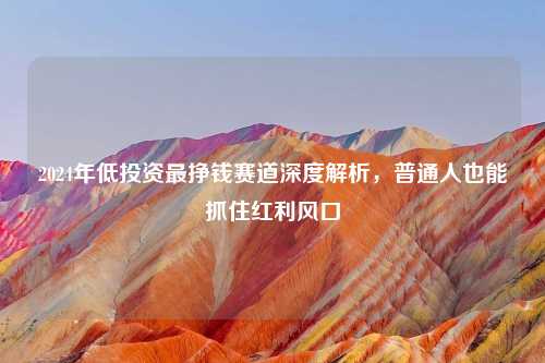 2024年低投资最挣钱赛道深度解析,普通人也能抓住红利风口