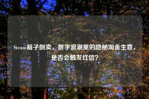 Steam箱子倒卖，数字浪潮里的隐秘淘金生意，是否会触发红信？