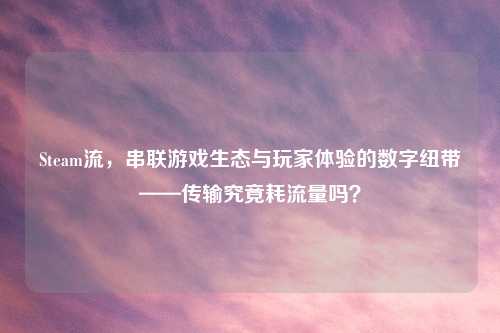 Steam流，串联游戏生态与玩家体验的数字纽带——传输究竟耗流量吗？