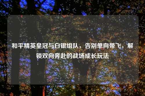 和平精英皇冠与白银组队，告别单向带飞，解锁双向奔赴的战场成长玩法
