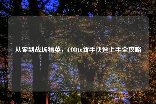 从零到战场精英，COD16新手快速上手全攻略