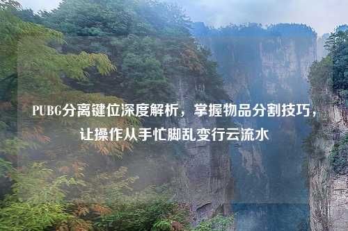 PUBG分离键位深度解析，掌握物品分割技巧，让操作从手忙脚乱变行云流水