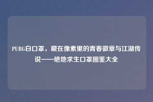 PUBG白口罩，藏在像素里的青春徽章与江湖传说——绝地求生口罩图鉴大全
