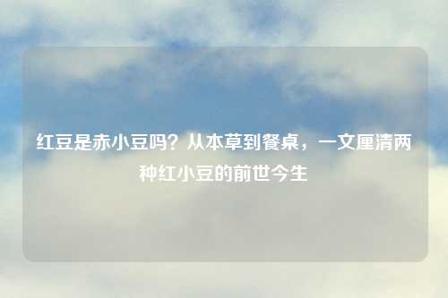 红豆是赤小豆吗？从本草到餐桌，一文厘清两种红小豆的前世今生