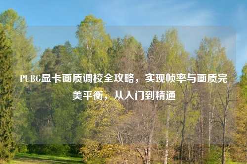 PUBG显卡画质调校全攻略，实现帧率与画质完美平衡，从入门到精通