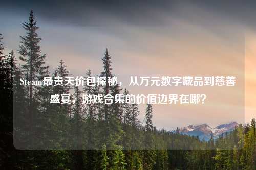 Steam最贵天价包探秘，从万元数字藏品到慈善盛宴，游戏合集的价值边界在哪？