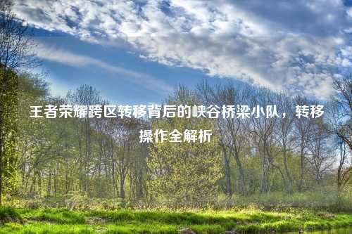 王者荣耀跨区转移背后的峡谷桥梁小队，转移操作全解析
