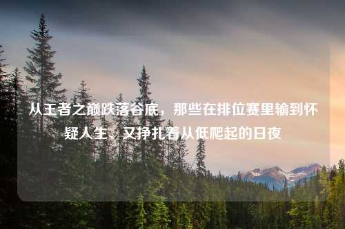 从王者之巅跌落谷底，那些在排位赛里输到怀疑人生、又挣扎着从低爬起的日夜