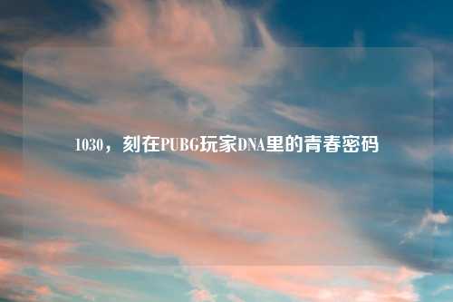 1030，刻在PUBG玩家DNA里的青春密码