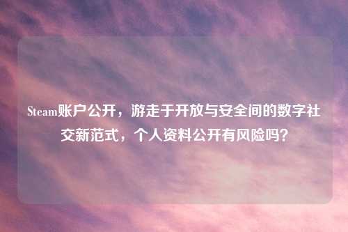 Steam账户公开，游走于开放与安全间的数字社交新范式，个人资料公开有风险吗？