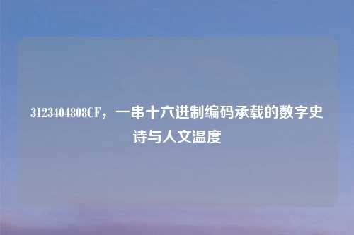 3123404808CF，一串十六进制编码承载的数字史诗与人文温度