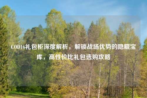 COD16礼包柜深度解析，解锁战场优势的隐藏宝库，高性价比礼包选购攻略
