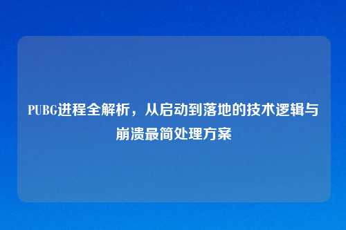 PUBG进程全解析，从启动到落地的技术逻辑与崩溃最简处理方案