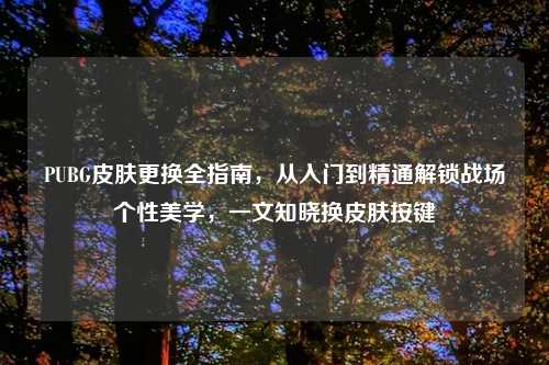 PUBG皮肤更换全指南，从入门到精通解锁战场个性美学，一文知晓换皮肤按键