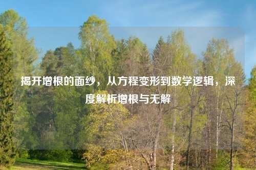揭开增根的面纱，从方程变形到数学逻辑，深度解析增根与无解