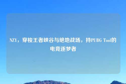 NZY，穿梭王者峡谷与绝地战场，持PUBG Tool的电竞逐梦者