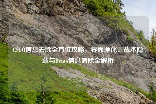 CSGO信息去除全方位攻略，界面净化、战术隐藏与Demo信息清除全解析