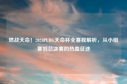 燃战天命！2024PUBG天命杯全赛程解析，从小组赛到总决赛的热血征途