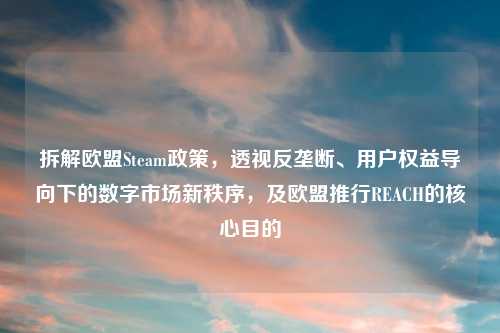 拆解欧盟Steam政策，透视反垄断、用户权益导向下的数字市场新秩序，及欧盟推行REACH的核心目的