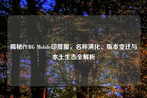 揭秘PUBG Mobile印度服，名称演化、版本变迁与本土生态全解析