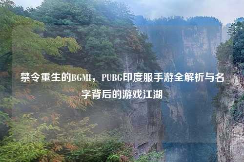 禁令重生的BGMI，PUBG印度服手游全解析与名字背后的游戏江湖
